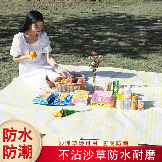 【出游常备❗️一提就走的野餐垫】防水防潮，沙滩草地都能用！户外折叠收纳便携加厚ins风郊游露营防潮垫 商品图1