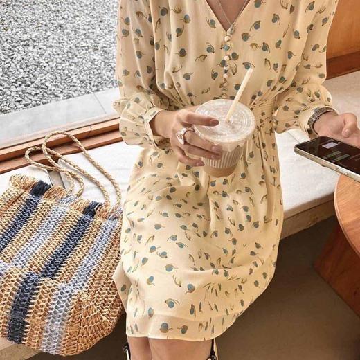 顺丰包邮洛诗琳33947早春新款真丝印花V领显瘦小格子连衣裙53066 商品图2