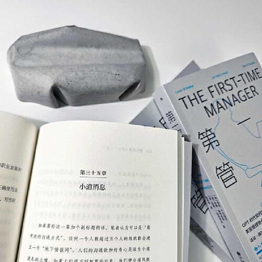第一次管人:如何帮助零基础经理人解决95%的管理难题 商品图3