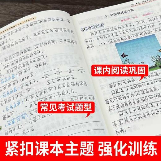 小学语文同步阅读理解强化训练.二年级下册 商品图3