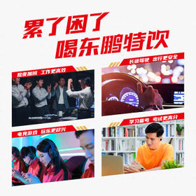 东鹏特饮  牛磺酸B族维生素饮料250ML*24盒/箱 抗疲劳家庭装