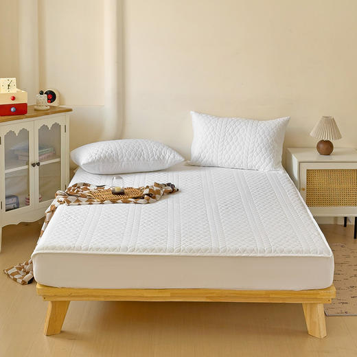 【四季可用】全棉三层夹棉床笠  床垫保护套可机洗水洗 商品图0