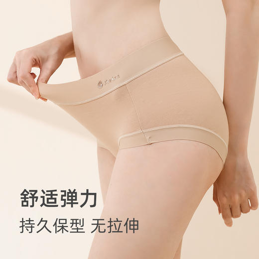 【利蜂舒适人生系列-“自然派”100S长绒棉内裤】植物染料，抗菌内裆 商品图4