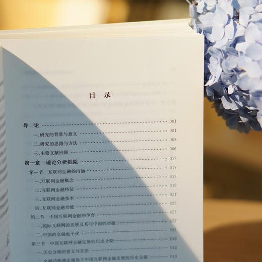 中国互联网金融的历史演进 商品图4