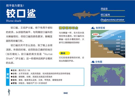 世界鲨鱼大全 商品图5