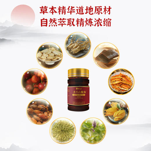 素问六顺丸 商品图3