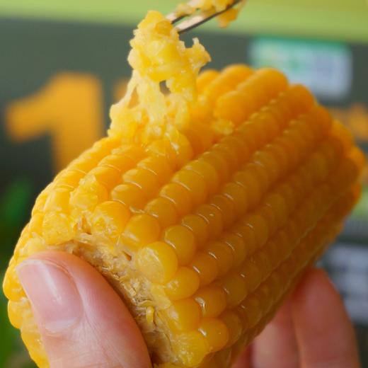 【斌哥优选】有机甜糯玉米。非转基因，sgs601项0农残。1小时真空急速锁鲜，3甜7糯，谁都爱吃。 商品图1