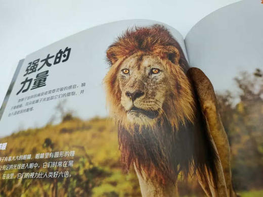 BBC王朝：双语绘本科普版(全10册) 商品图7