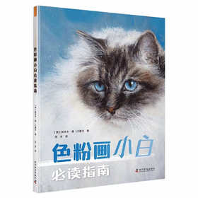 色粉画小白必读指南