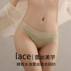 TG-TG01S179真丝中腰薄款三角裤女 桑蚕丝睫毛蕾丝花边包臀网纱纯色内裤