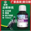 【念君快克】原念珠菌快克，100ml（豪翔） 商品缩略图0