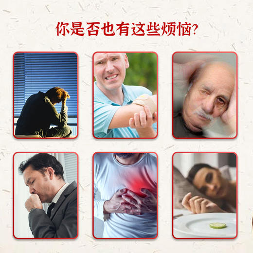 素问六顺丸 商品图2