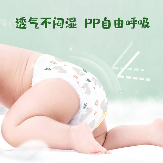 【会员2箱到手49/箱，多件有赠品】爹地宝贝云感棉柔 拉拉裤/纸尿裤，超薄透气.内外双柔.大吸量 商品图2