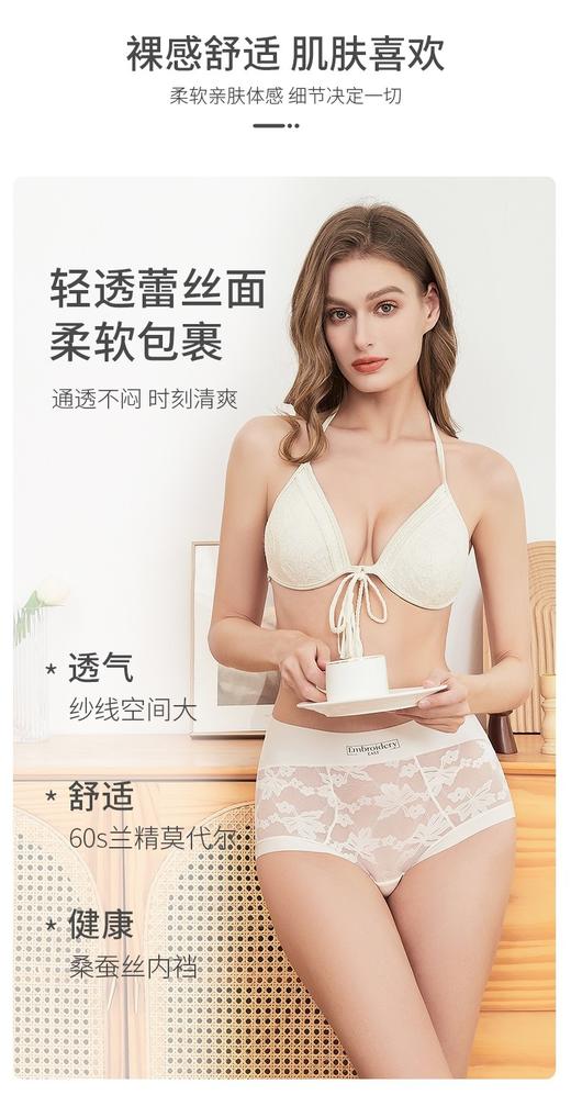 维多利亚出口原单宫廷御用提花内裤(发三条) 商品图9