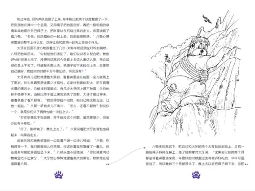 《熊镇的故事：翻越熊峰》 商品图13