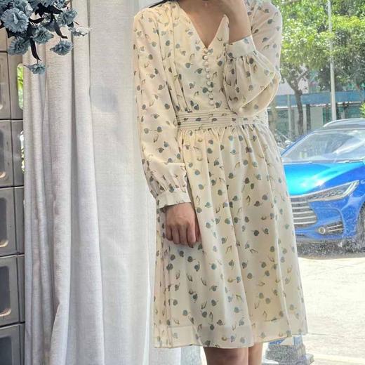 顺丰包邮洛诗琳33947早春新款真丝印花V领显瘦小格子连衣裙53066 商品图4