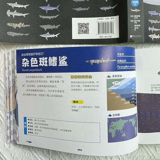 世界鲨鱼大全 商品图11