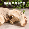 在菌屋 云南农家椴木大花菇（直径6-8cm） 300g/袋 肉质厚实 口感鲜香嫩滑 菇香浓郁 商品缩略图8