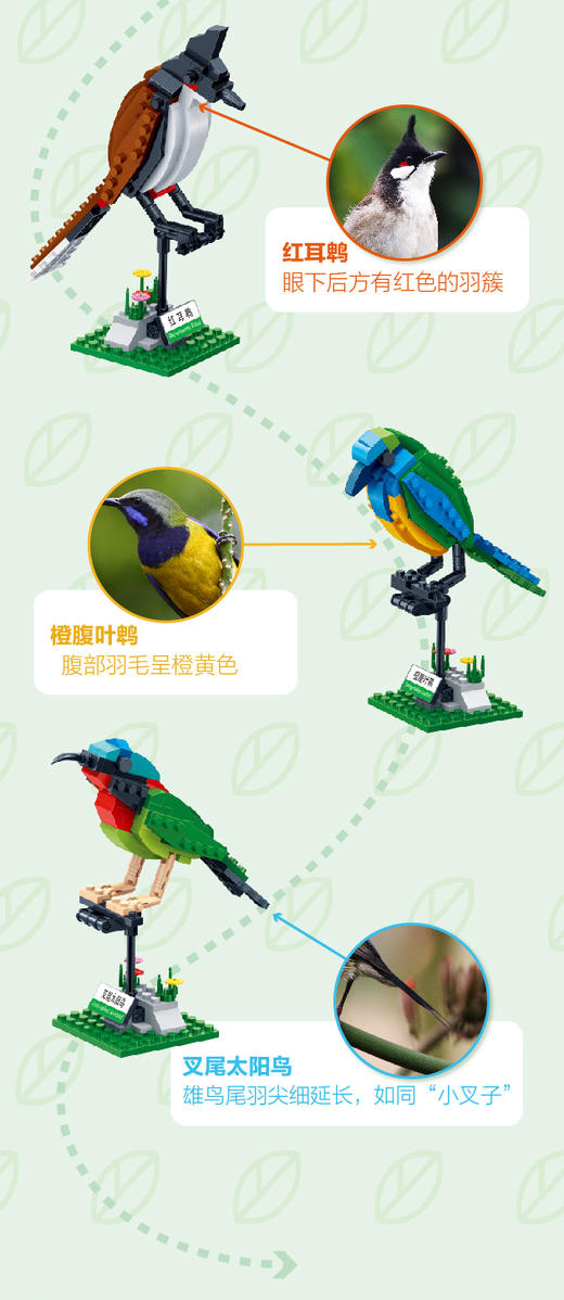 积木鸟 积木游戏 商品图1