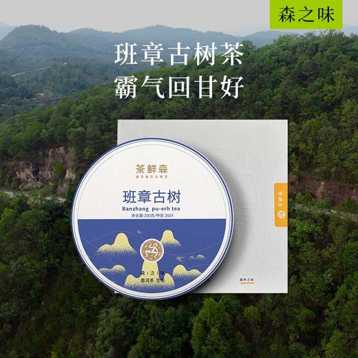 2024年 班章古树 普洱茶 生茶 200g饼 森之味 ，拍5发6 商品图0