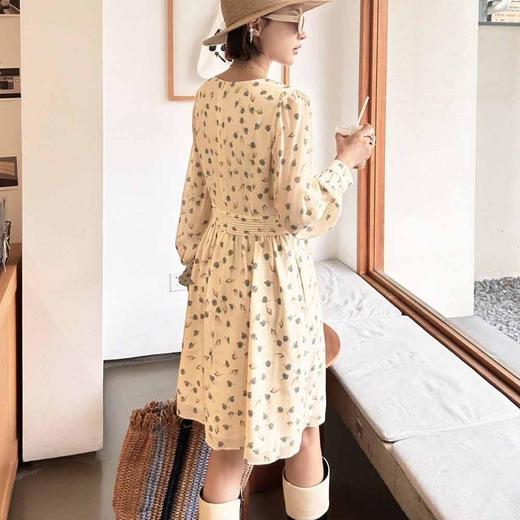 顺丰包邮洛诗琳33947早春新款真丝印花V领显瘦小格子连衣裙53066 商品图3