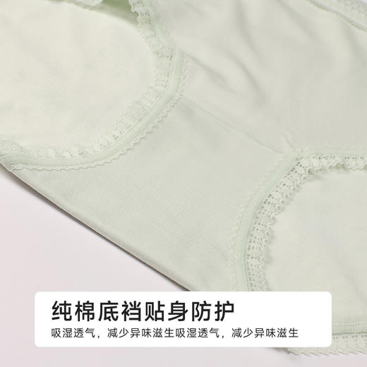 都市丽人纯棉系列50支棉舒肤棉平角裤LKH5J2 商品图7