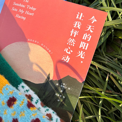 今天的阳光,让我怦然心动 商品图3