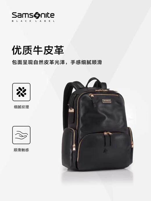 新秀丽双肩包女时尚都市通勤背包 商品图1