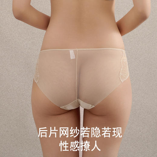 TG-TG01S170春夏真丝中腰女士内裤 桑蚕丝蕾丝性感花边透气包臀三角短裤 商品图1