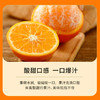 【分仓直发包邮】广西沃柑（一级果） 4.5斤（中果，果径60-65mm） 商品缩略图5