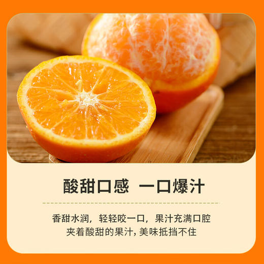 【分仓直发包邮】广西沃柑（一级果） 4.5斤（中果，果径60-65mm） 商品图5