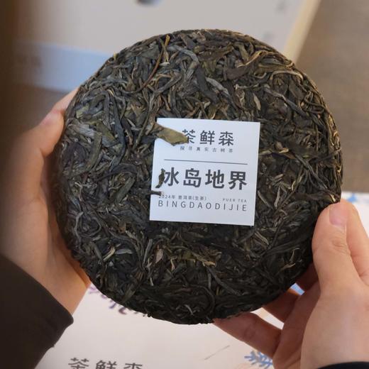 2024 冰岛地界 森之美 拍5发6 普洱茶 生茶 200g/饼 商品图1