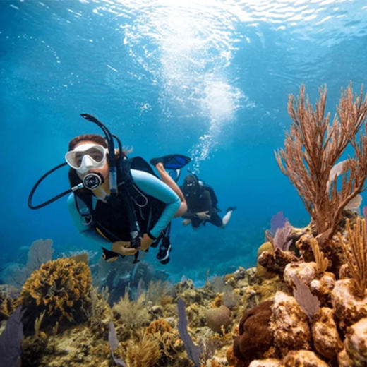 仙本那爱潜潜水中心PADI五星水肺OW活AOW课程考证 商品图3