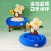 zeze金“贵”盆栽宠物床-B 商品缩略图2