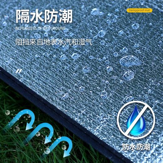 【送收纳袋❗️户外铝膜露营垫】防水/防潮/隔热/隔凉/保温/耐磨，超实用！防潮垫双面加厚沙滩地垫珍珠棉野餐垫子野营帐篷睡垫 商品图1