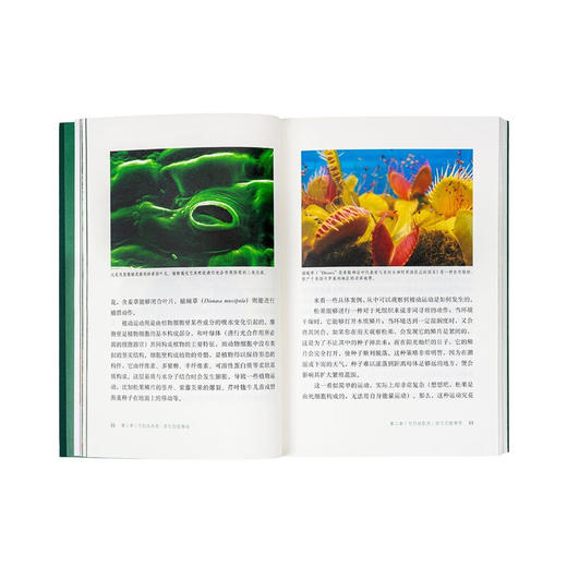 读库植物智能套装《它们没有脚，但足迹遍天下：不可思议的植物扩张史》 《失敬，植物先生：它们很古老，其实它们很先进》《它们没大脑，但它们有智能： 植物智能的认识史》（意）斯特凡诺·曼库索 著 商品图6