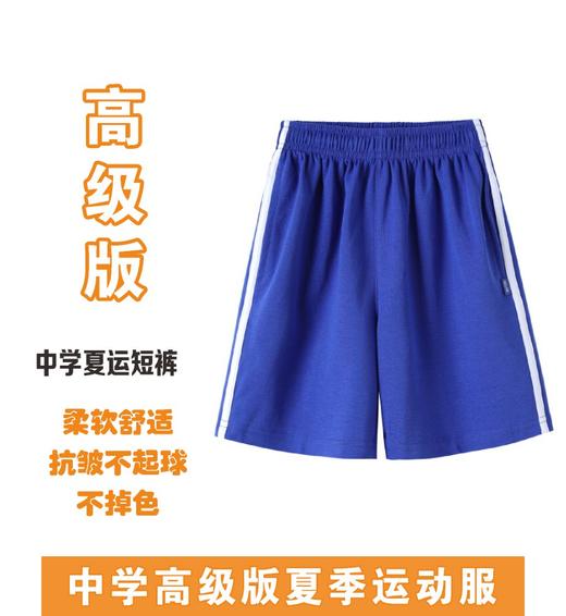 高级版 抑菌透气  抗皱不起球 中学夏装运动服   【深圳市中小学校服供应商】 51深圳校服 商品图3
