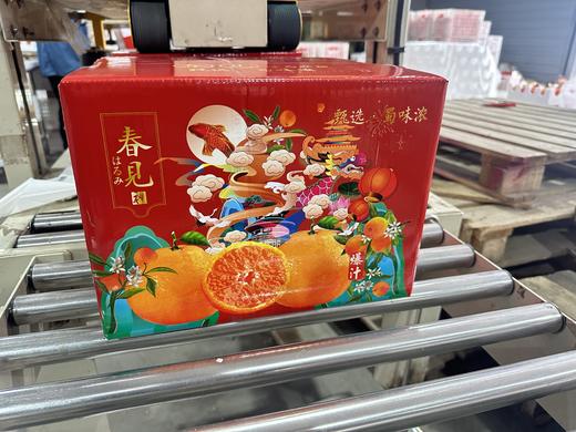 四川春见耙耙柑、脆甜爆汁、自然成熟、甘甜爽口、果粒饱满、肉质脆嫩化渣 商品图12