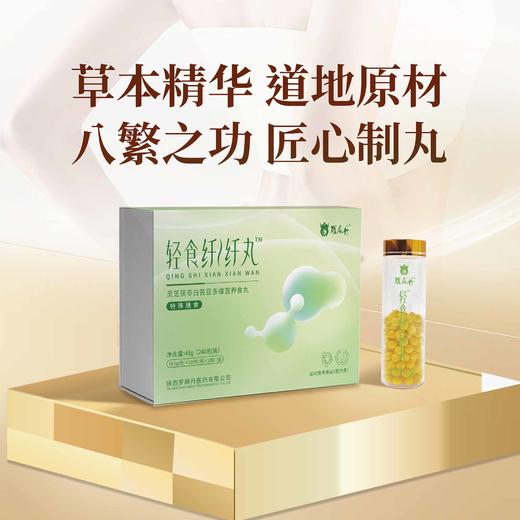 轻食纤纤丸 商品图1