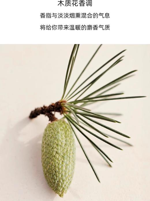 【航免仓】蔻依北国雪松50ml 商品图2