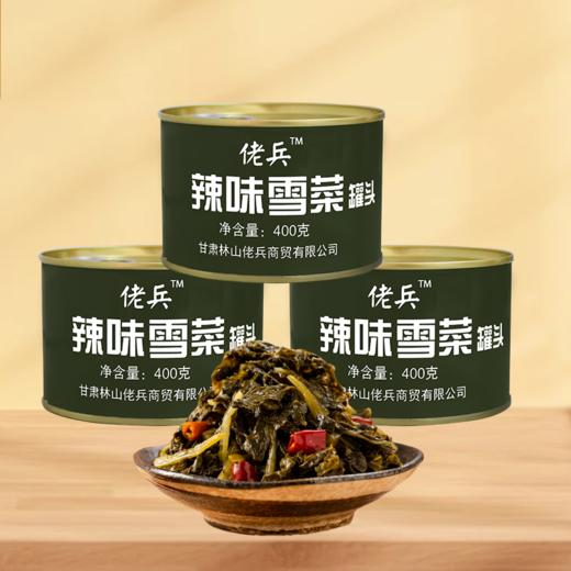 佬兵400g酸辣菜辣味雪菜罐头凉菜配菜小吃 商品图2