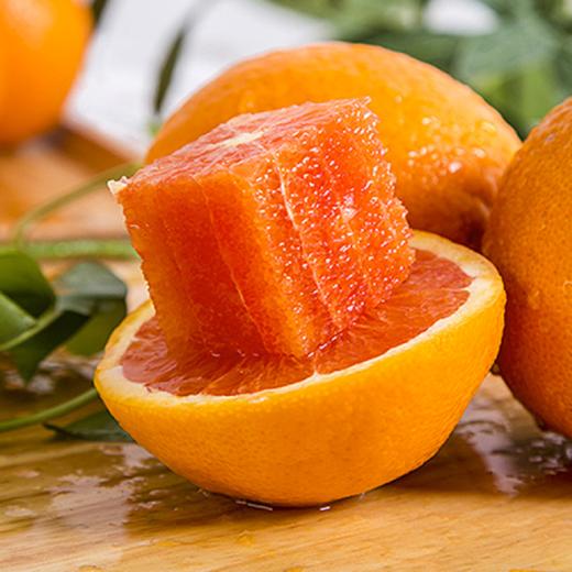 秭归中华红脐橙 新鲜采摘 商品图4