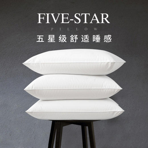 优选丨【品牌直发】加倍生活 全棉舒眠枕一对装 60s纯棉面料 五星睡感  蓬松柔软  回弹性好 商品图2