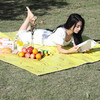 【出游常备❗️一提就走的野餐垫】防水防潮，沙滩草地都能用！户外折叠收纳便携加厚ins风郊游露营防潮垫 商品缩略图2