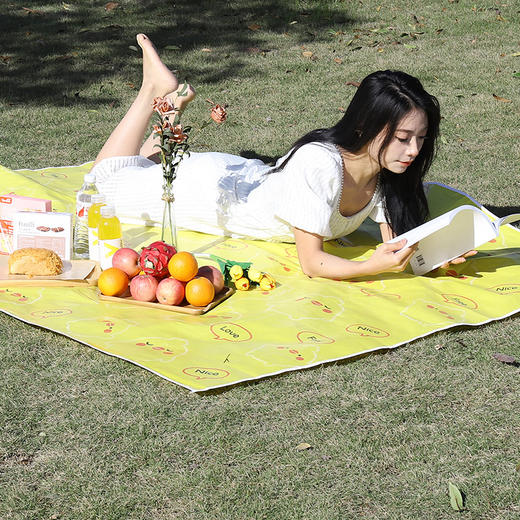 【出游常备❗️一提就走的野餐垫】防水防潮，沙滩草地都能用！户外折叠收纳便携加厚ins风郊游露营防潮垫 商品图2