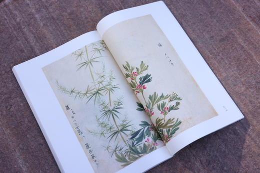 《诗经名物图选粹（典藏版）》| 香樟木雕刻哇外盒 收藏证书 商品图8