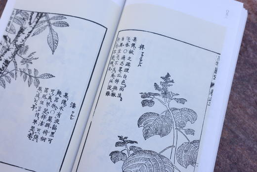 《诗经名物图选粹（典藏版）》| 香樟木雕刻哇外盒 收藏证书 商品图9