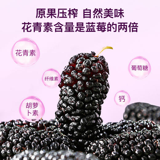 华农原实 NFC 桑果汁 商品图1