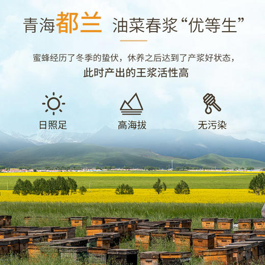 汪氏蜂王浆片状制品5.0 蜂王浆片50g/瓶 商品图2