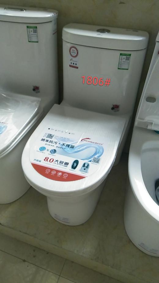镱龙 广东坐便器 1806 双孔大管道 商品图0